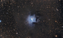 Iris Nebula 5 h [AAPOD]